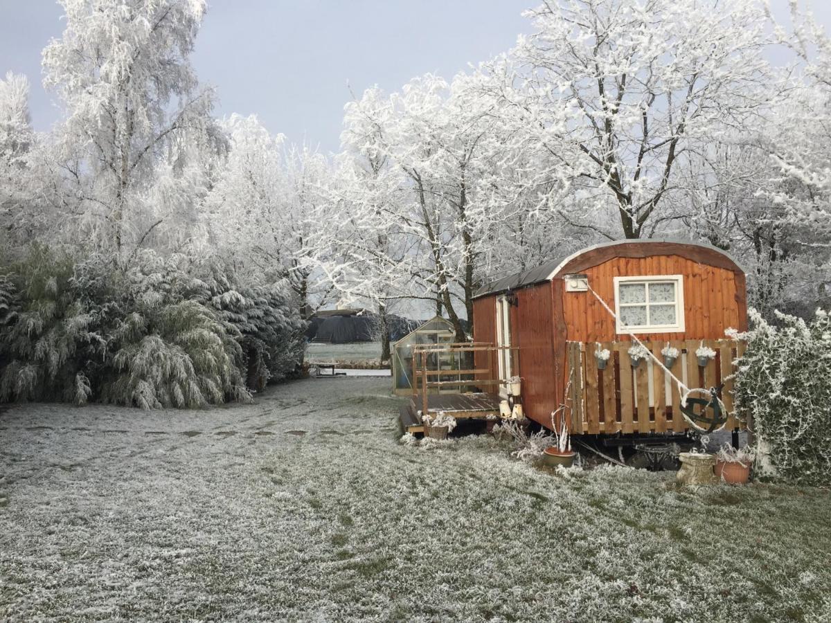 B&B Hetvrijdagsgevoel Sneek Exterior photo